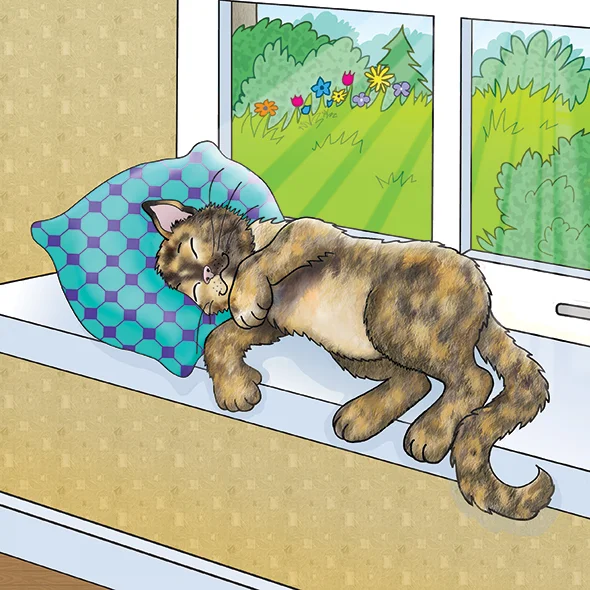 A cat takes a nap in a spot of sunshine.