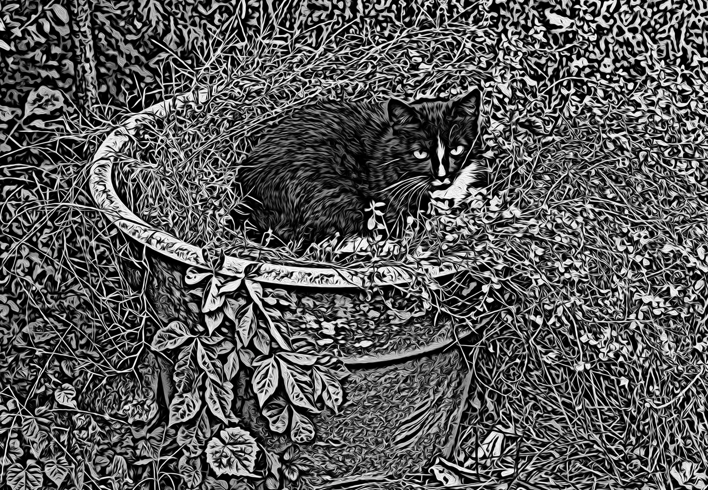 A black and white illustration of a cat sitting in a pot of catnip.