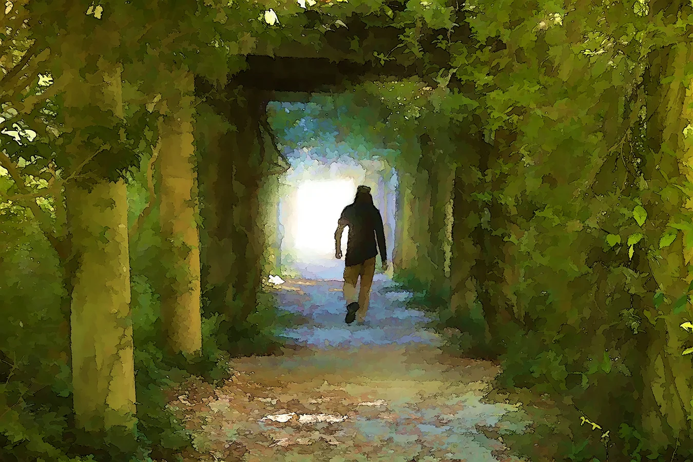 A man walks to the other end of a long tunnel of vines, leaves, and classical collumns