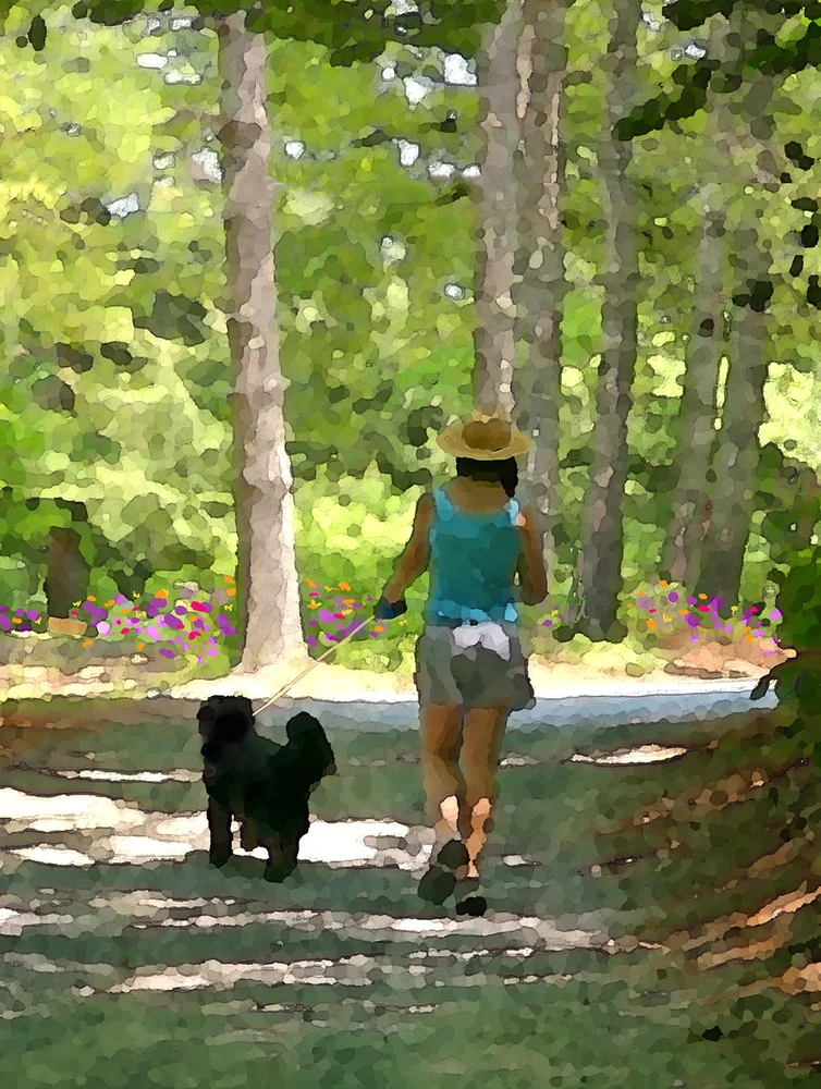 A woman taking her dog on a walk in the woods.